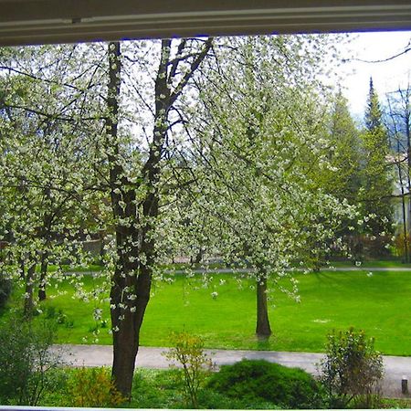 Ferienwohnung Am Ortenaupark บาดไรเฮนฮัล ภายนอก รูปภาพ