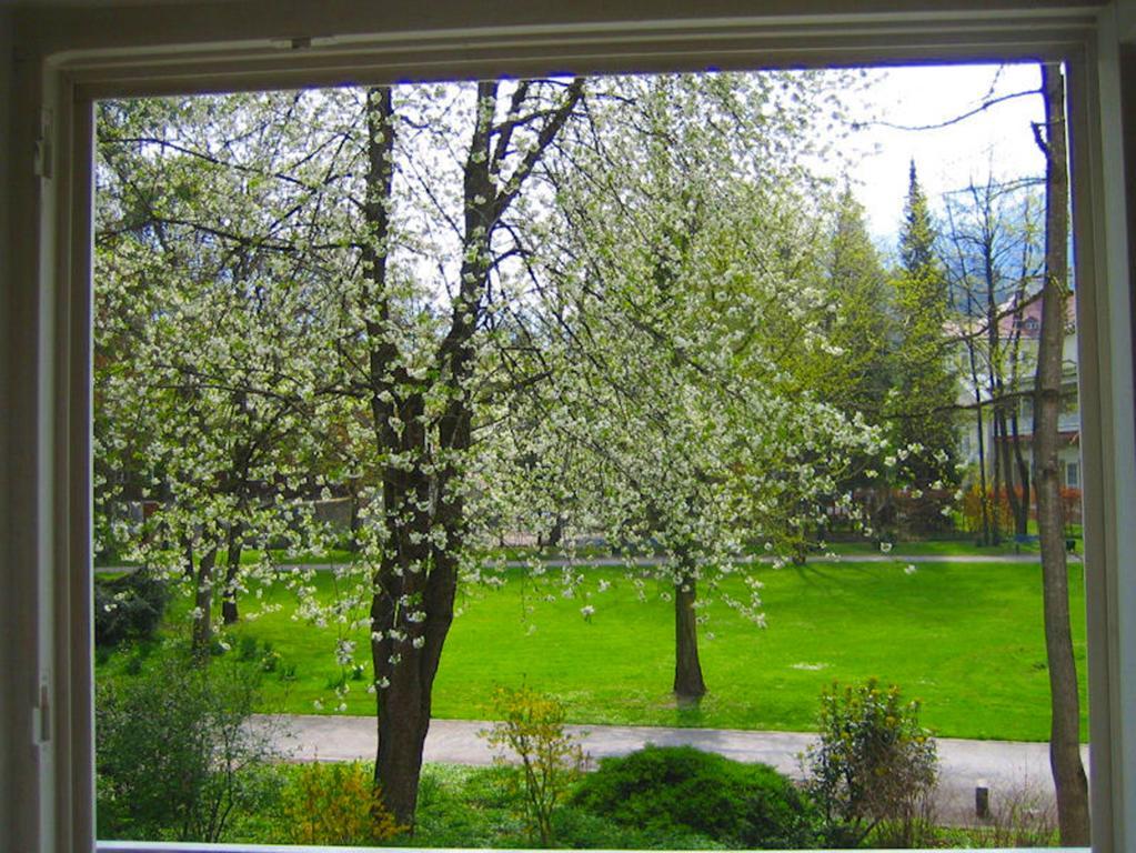 Ferienwohnung Am Ortenaupark บาดไรเฮนฮัล ภายนอก รูปภาพ